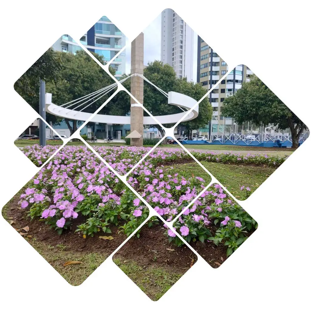 criação de site em itajaí